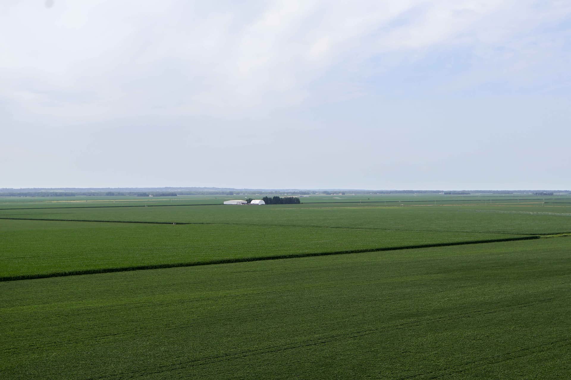 Vast green irrigated cropland stretching to the horizon with a distant farmstead.