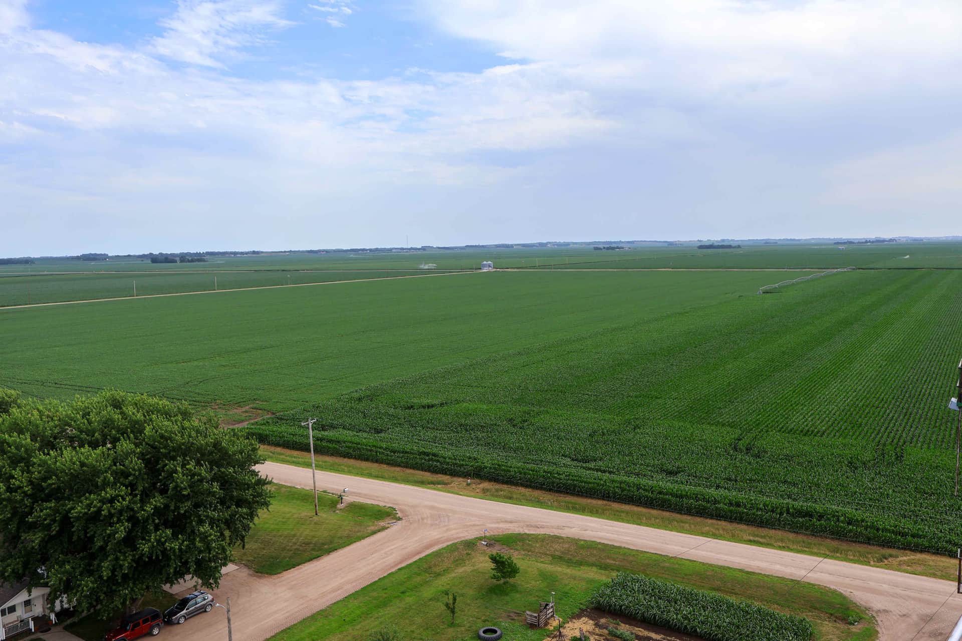 Aerial view of vast green Nebraska cornfields on the section-line grid, with dirt roads crossing at right angles, distant center-pivot lines, and a tree-shaded farmstead in the foreground.