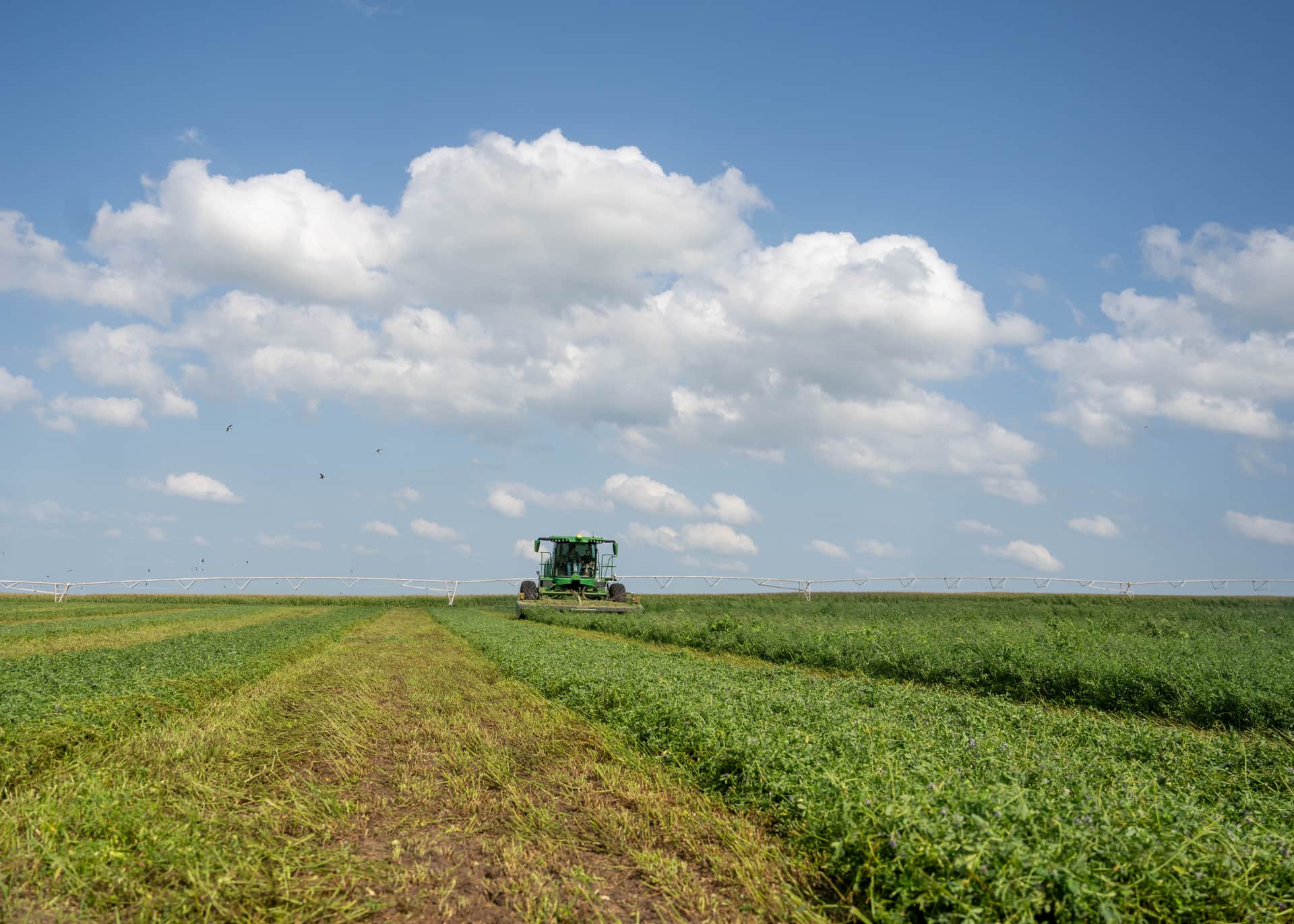 A green self-propelled swather cutting windrows of alfalfa in a lush Nebraska field, a center-pivot irrigation line spanning the horizon under a big blue sky with towering white clouds.