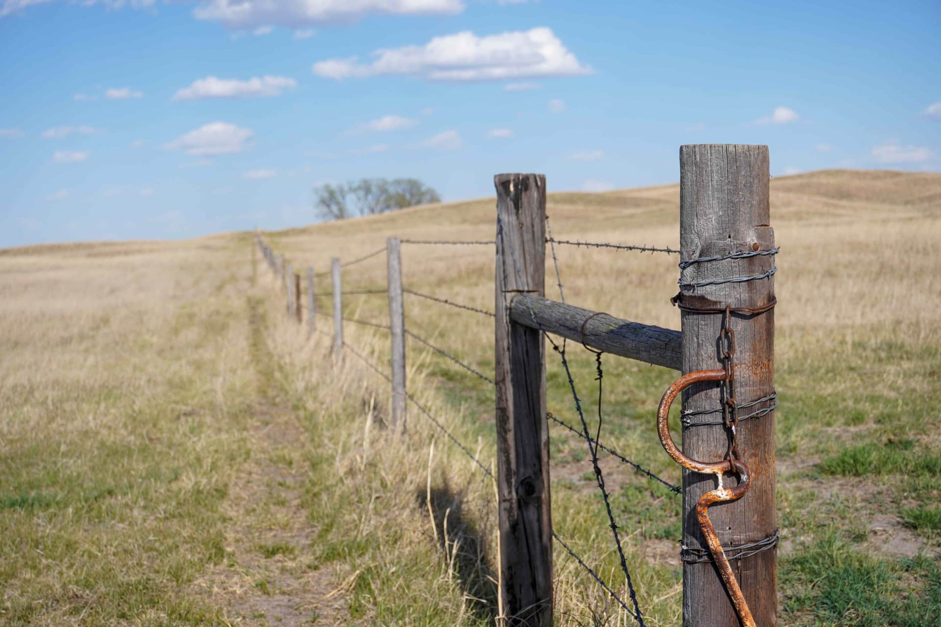 A weathered wooden fence post wrapped in barbed wire with a rusty gate hook and chain, a wire fence line receding along a footpath through golden Nebraska Sandhills prairie under a blue sky.