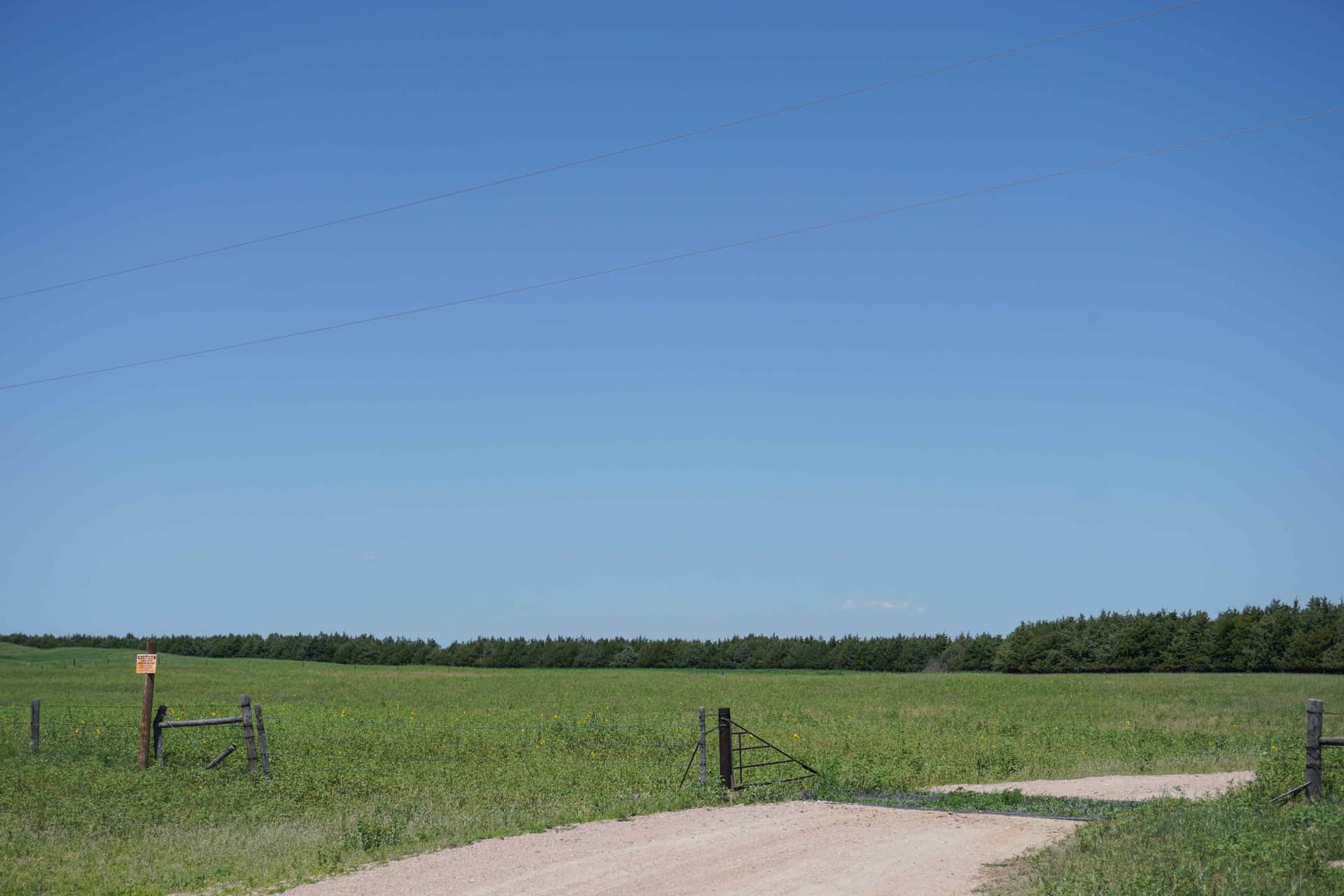 A gravel farm lane leading to a simple wire gate in a green Nebraska pasture, with a fence line and a treeline on the horizon under a big blue sky.