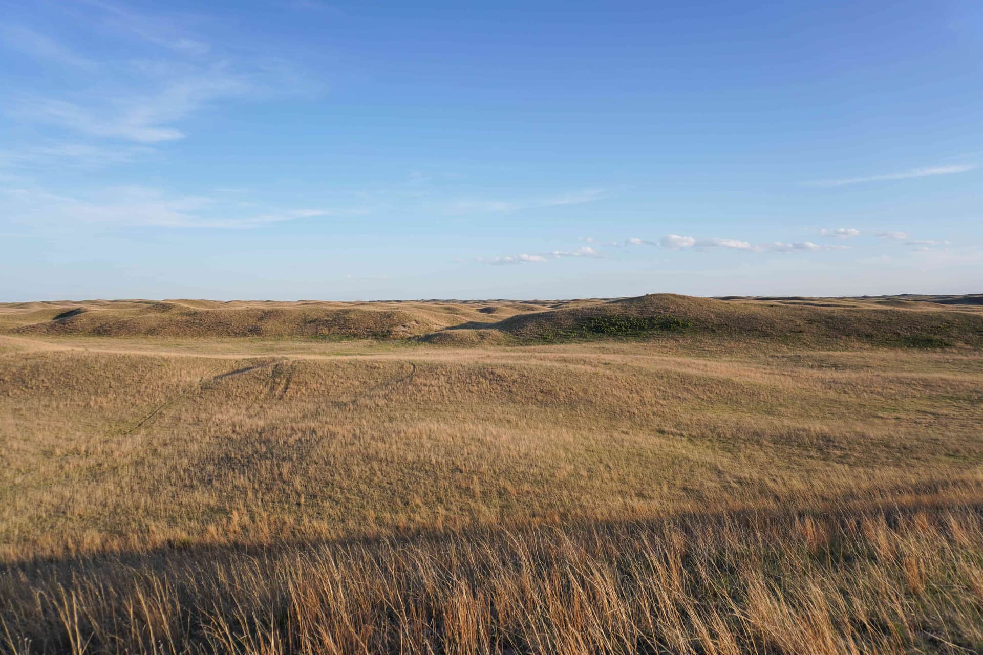 Golden Sandhills prairie grass over rolling grass-covered dunes under a wide blue sky.
