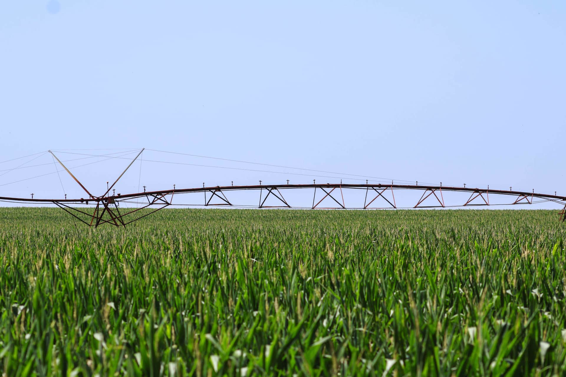 A center-pivot irrigation system spanning a lush green Nebraska cornfield under a pale blue sky.